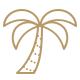 Palm Icon