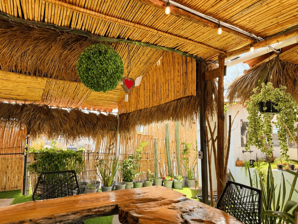 Galería de Casa Palmera